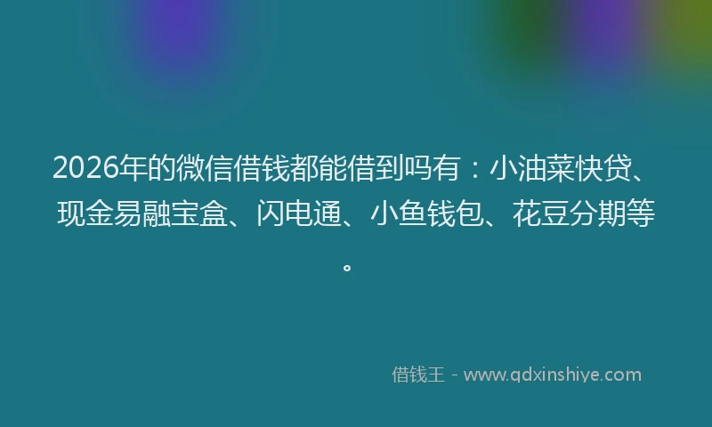 2026年的微信借钱都能借到吗有：小油菜快贷、现金易融宝盒、闪电通、小鱼钱包、花豆分期等。