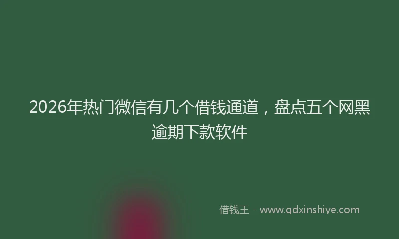 2026年热门微信有几个借钱通道，盘点五个网黑逾期下款软件