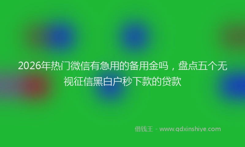 2026年热门微信有急用的备用金吗，盘点五个无视征信黑白户秒下款的贷款