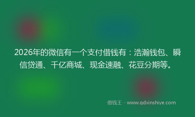 2026年的微信有一个支付借钱有：浩瀚钱包、瞬信贷通、千亿商城、现金速融、花豆分期等。