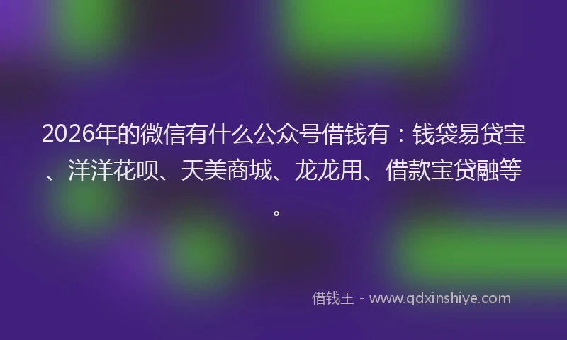 2026年的微信有什么公众号借钱有：钱袋易贷宝、洋洋花呗、天美商城、龙龙用、借款宝贷融等。
