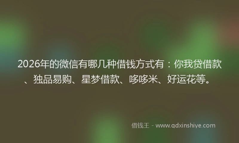 2026年的微信有哪几种借钱方式有：你我贷借款、独品易购、星梦借款、哆哆米、好运花等。