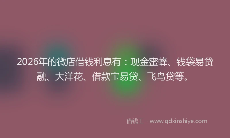 2026年的微店借钱利息有：现金蜜蜂、钱袋易贷融、大洋花、借款宝易贷、飞鸟贷等。