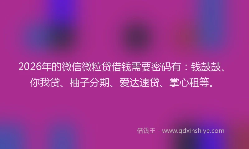 2026年的微信微粒贷借钱需要密码有:钱鼓鼓、你我贷、柚子分期、爱达速贷、掌心租等。