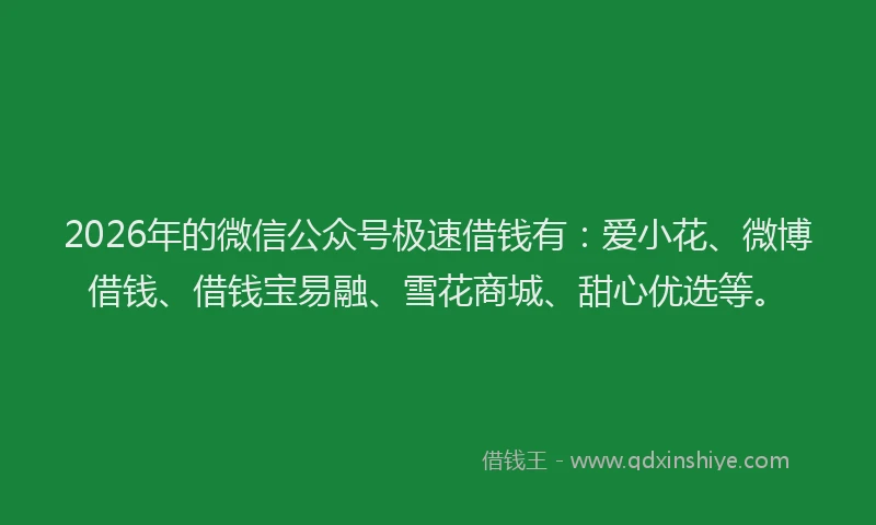 2026年的微信公众号极速借钱有:爱小花、微博借钱、借钱宝易融、雪花商城、甜心优选等。