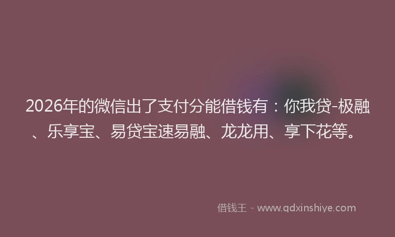2026年的微信出了支付分能借钱有：你我贷-极融、乐享宝、易贷宝速易融、龙龙用、享下花等。
