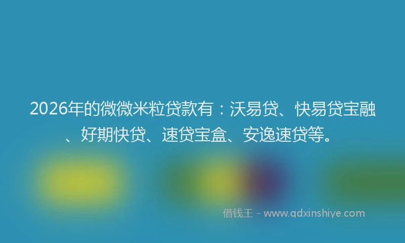 2026年的微微米粒贷款有：沃易贷、快易贷宝融、好期快贷、速贷宝盒、安逸速贷等。