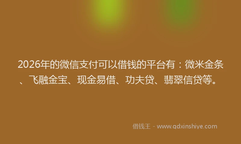 2026年的微信支付可以借钱的平台有：微米金条、飞融金宝、现金易借、功夫贷、翡翠信贷等。