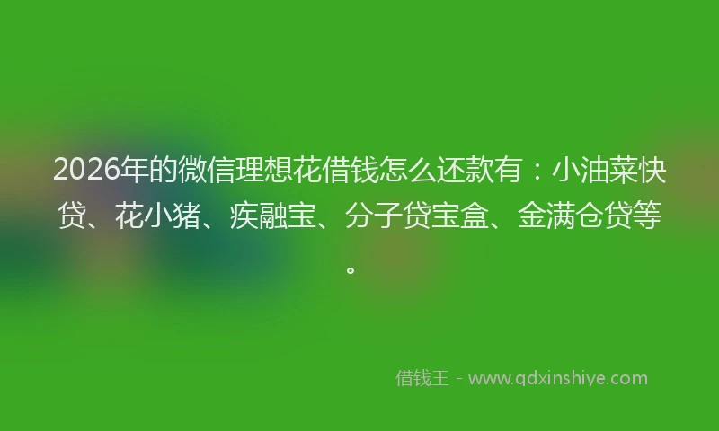 2026年的微信理想花借钱怎么还款有：小油菜快贷、花小猪、疾融宝、分子贷宝盒、金满仓贷等。