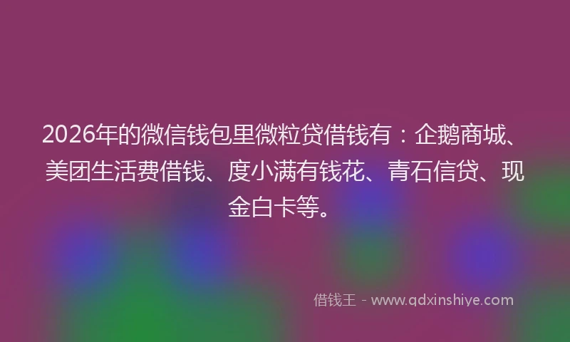 2026年的微信钱包里微粒贷借钱有：企鹅商城、美团生活费借钱、度小满有钱花、青石信贷、现金白卡等。