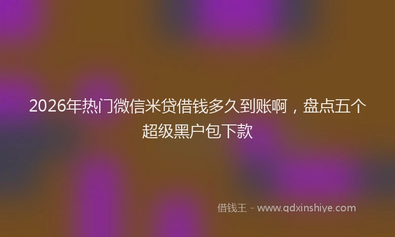 2026年热门微信米贷借钱多久到账啊，盘点五个超级黑户包下款