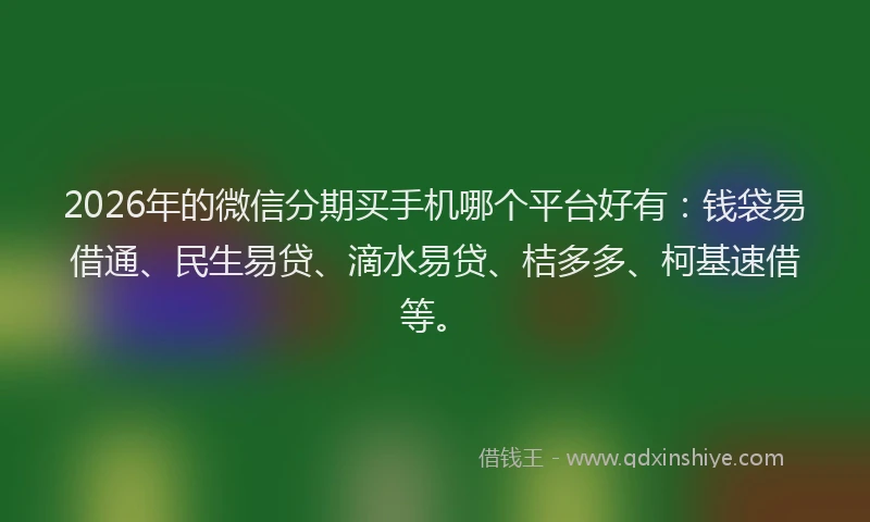 2026年的微信分期买手机哪个平台好有：钱袋易借通、民生易贷、滴水易贷、桔多多、柯基速借等。