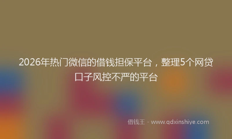 2026年热门微信的借钱担保平台，整理5个网贷口子风控不严的平台