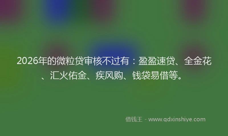 2026年的微粒贷审核不过有：盈盈速贷、全金花、汇火佑金、疾风购、钱袋易借等。