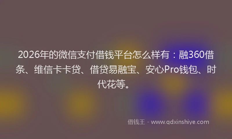 2026年的微信支付借钱平台怎么样有：融360借条、维信卡卡贷、借贷易融宝、安心Pro钱包、时代花等。