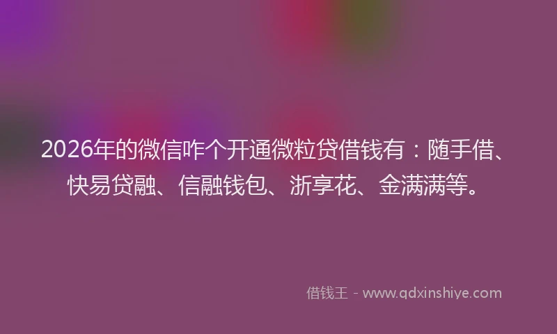 2026年的微信咋个开通微粒贷借钱有：随手借、快易贷融、信融钱包、浙享花、金满满等。