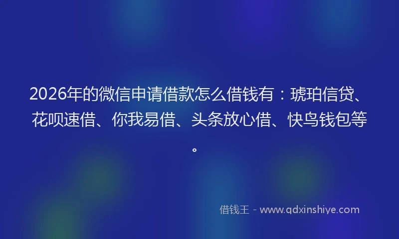 2026年的微信申请借款怎么借钱有：琥珀信贷、花呗速借、你我易借、头条放心借、快鸟钱包等。