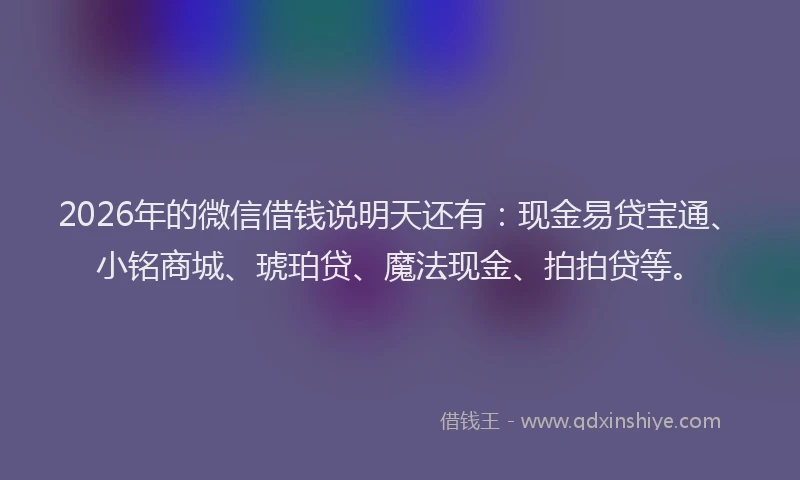 2026年的微信借钱说明天还有：现金易贷宝通、小铭商城、琥珀贷、魔法现金、拍拍贷等。