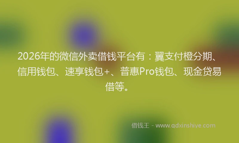 2026年的微信外卖借钱平台有：翼支付橙分期、信用钱包、速享钱包+、普惠Pro钱包、现金贷易借等。