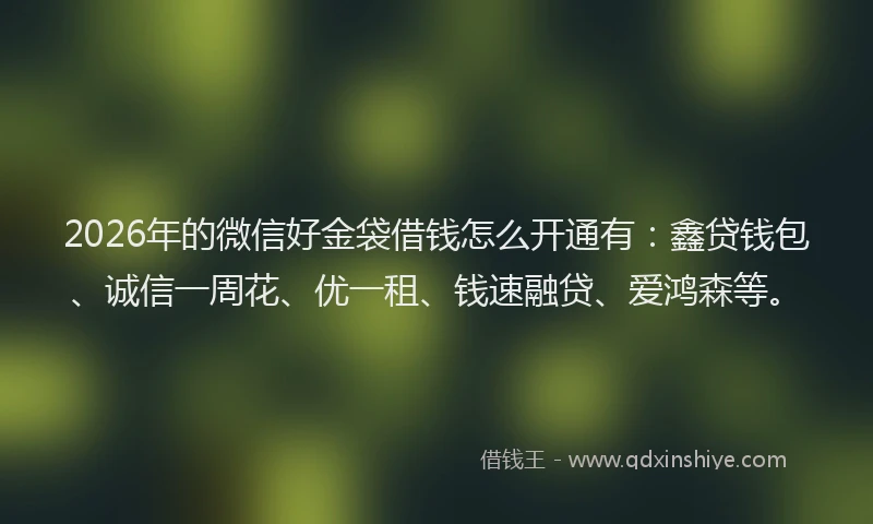 2026年的微信好金袋借钱怎么开通有:鑫贷钱包、诚信一周花、优一租、钱速融贷、爱鸿森等。