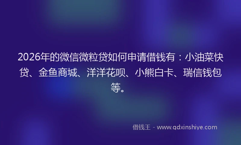 2026年的微信微粒贷如何申请借钱有：小油菜快贷、金鱼商城、洋洋花呗、小熊白卡、瑞信钱包等。