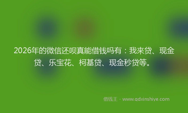 2026年的微信还呗真能借钱吗有：我来贷、现金贷、乐宝花、柯基贷、现金秒贷等。