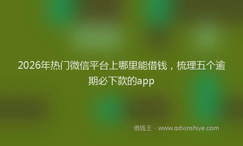 2026年热门微信平台上哪里能借钱，梳理五个逾期必下款的app