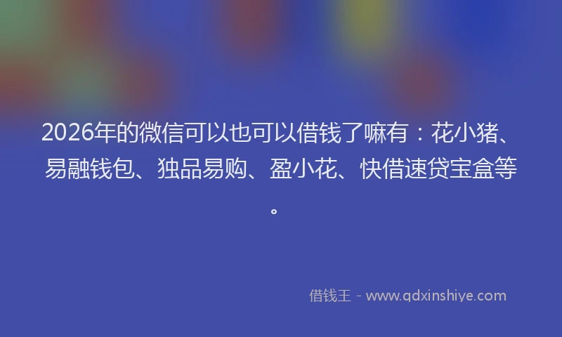 2026年的微信可以也可以借钱了嘛有：花小猪、易融钱包、独品易购、盈小花、快借速贷宝盒等。