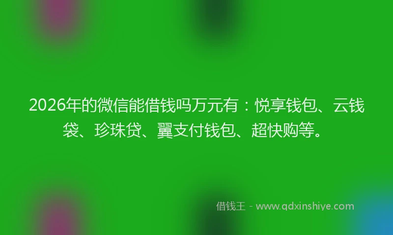 2026年的微信能借钱吗万元有：悦享钱包、云钱袋、珍珠贷、翼支付钱包、超快购等。