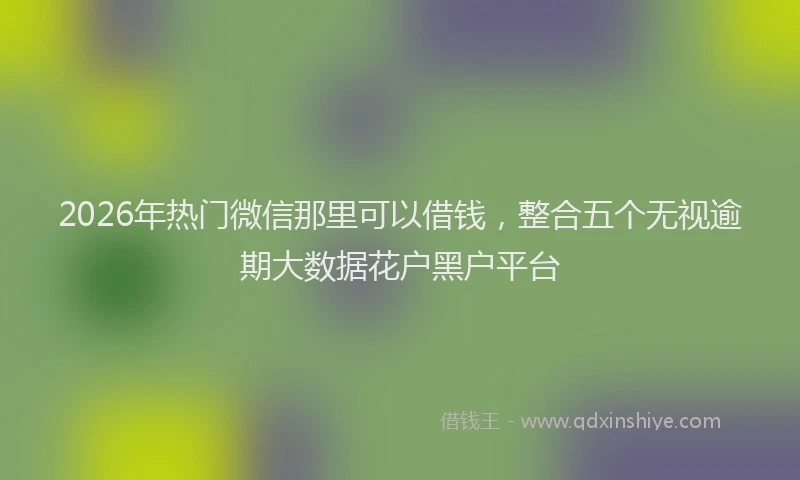 2026年热门微信那里可以借钱，整合五个无视逾期大数据花户黑户平台