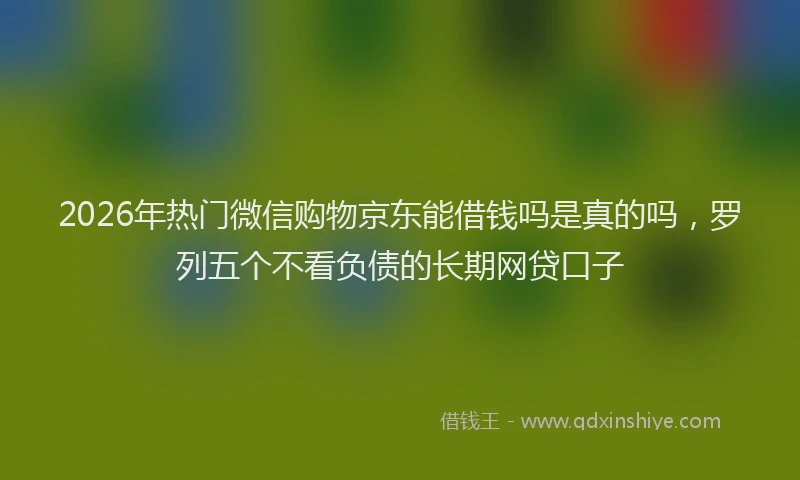 2026年热门微信购物京东能借钱吗是真的吗，罗列五个不看负债的长期网贷口子