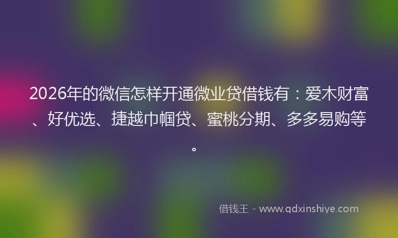 2026年的微信怎样开通微业贷借钱有：爱木财富、好优选、捷越巾帼贷、蜜桃分期、多多易购等。