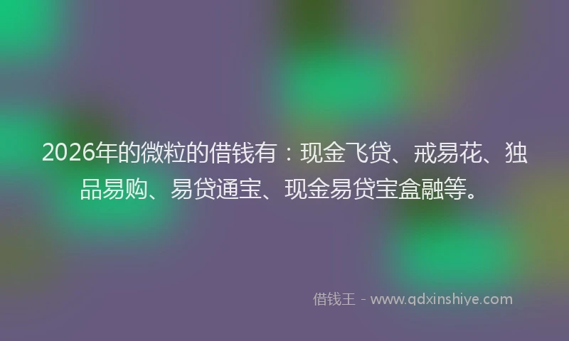2026年的微粒的借钱有:现金飞贷、戒易花、独品易购、易贷通宝、现金易贷宝盒融等。
