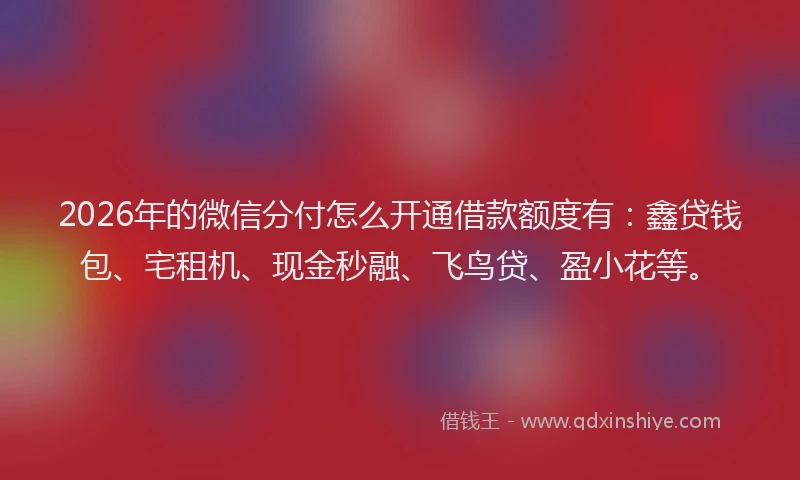 2026年的微信分付怎么开通借款额度有：鑫贷钱包、宅租机、现金秒融、飞鸟贷、盈小花等。