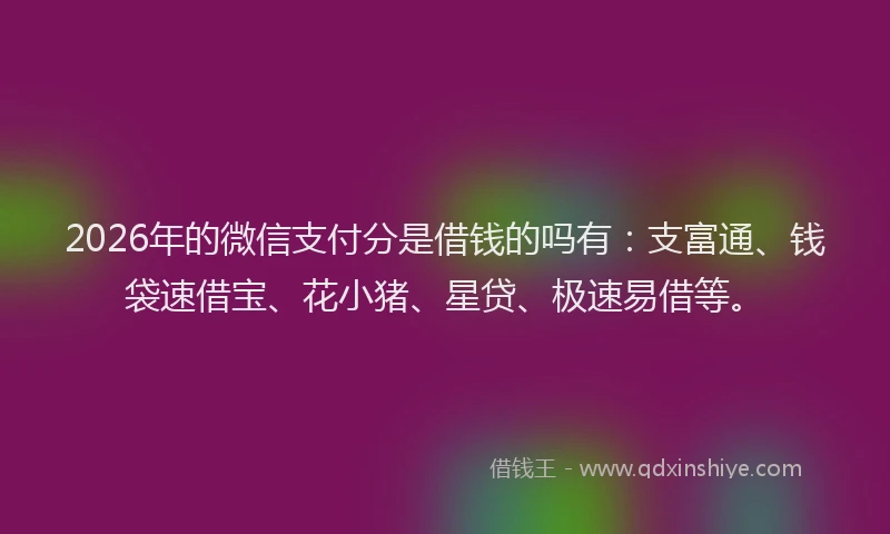 2026年的微信支付分是借钱的吗有:支富通、钱袋速借宝、花小猪、星贷、极速易借等。