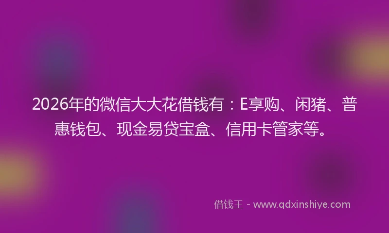 2026年的微信大大花借钱有:E享购、闲猪、普惠钱包、现金易贷宝盒、信用卡管家等。