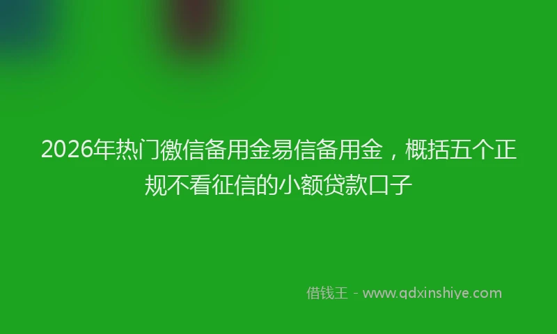 2026年热门徼信备用金易信备用金，概括五个正规不看征信的小额贷款口子