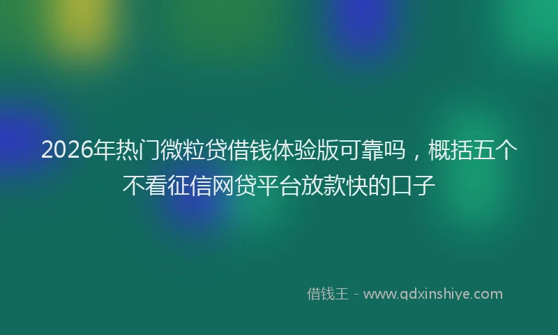2026年热门微粒贷借钱体验版可靠吗,概括五个不看征信网贷平台放款快的口子