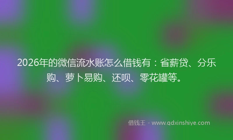 2026年的微信流水账怎么借钱有：省薪贷、分乐购、萝卜易购、还呗、零花罐等。