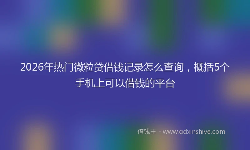 2026年热门微粒贷借钱记录怎么查询，概括5个手机上可以借钱的平台