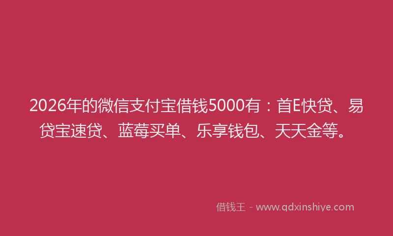 2026年的微信支付宝借钱5000有：首E快贷、易贷宝速贷、蓝莓买单、乐享钱包、天天金等。