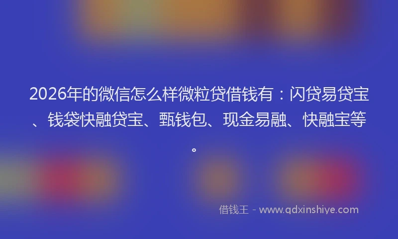 2026年的微信怎么样微粒贷借钱有：闪贷易贷宝、钱袋快融贷宝、甄钱包、现金易融、快融宝等。