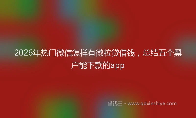 2026年热门微信怎样有微粒贷借钱，总结五个黑户能下款的app