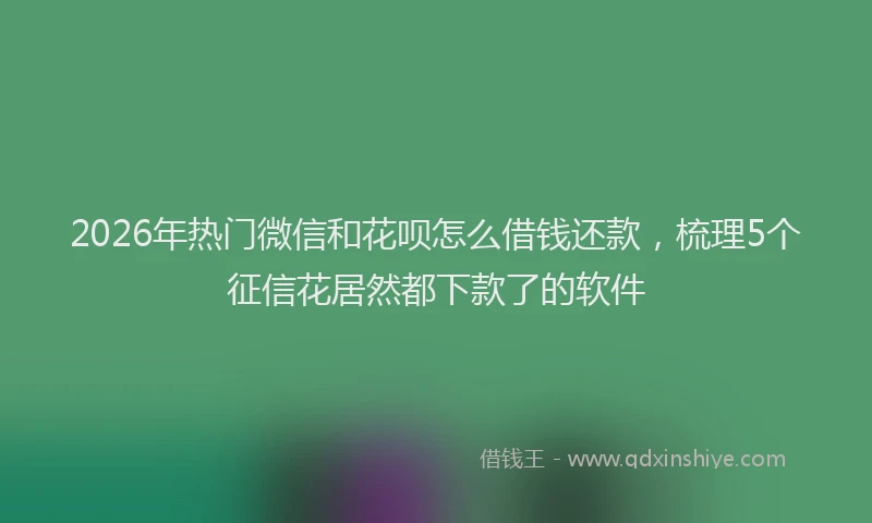 2026年热门微信和花呗怎么借钱还款，梳理5个征信花居然都下款了的软件