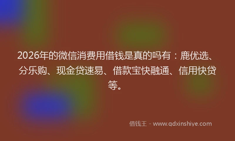 2026年的微信消费用借钱是真的吗有:鹿优选、分乐购、现金贷速易、借款宝快融通、信用快贷等。