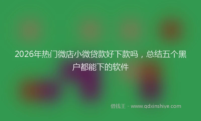 2026年热门微店小微贷款好下款吗，总结五个黑户都能下的软件