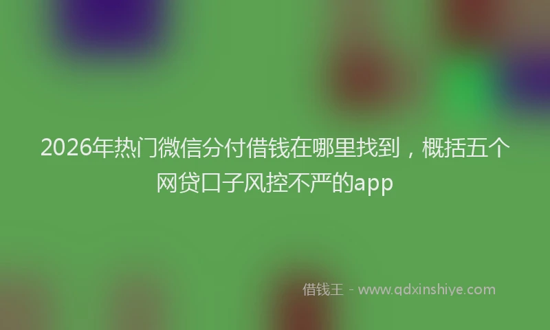 2026年热门微信分付借钱在哪里找到，概括五个网贷口子风控不严的app