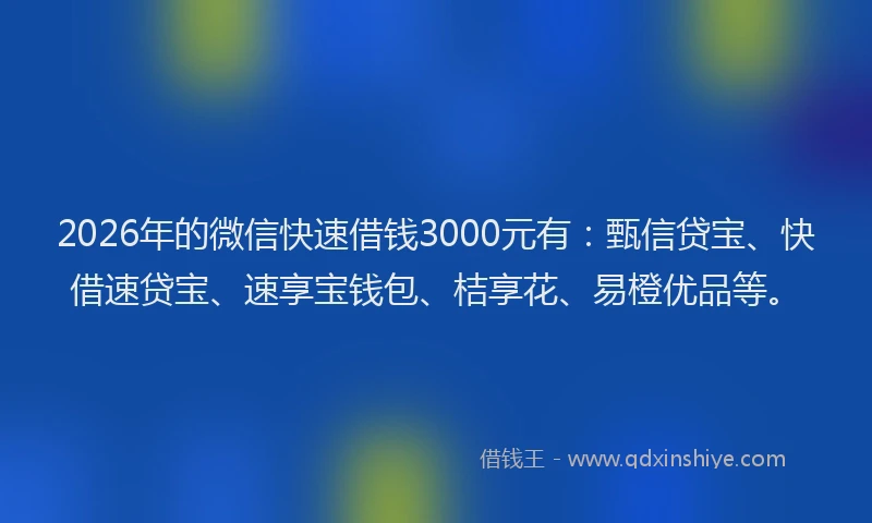 2026年的微信快速借钱3000元有:甄信贷宝、快借速贷宝、速享宝钱包、桔享花、易橙优品等。