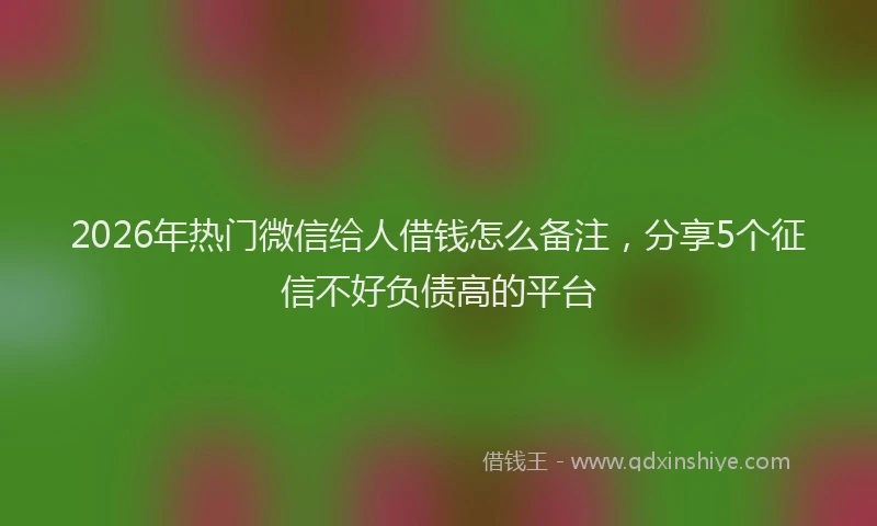 2026年热门微信给人借钱怎么备注，分享5个征信不好负债高的平台