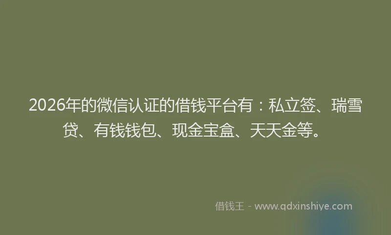 2026年的微信认证的借钱平台有：私立签、瑞雪贷、有钱钱包、现金宝盒、天天金等。